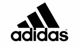 adidas偏光サングラス