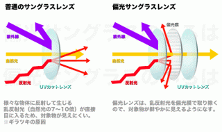 偏光サングラス 見分け方