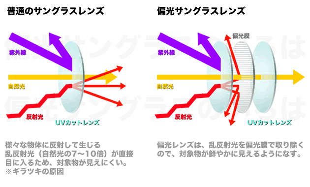 偏光サングラス 見分け方