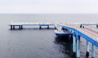 海釣り公園偏光サングラス