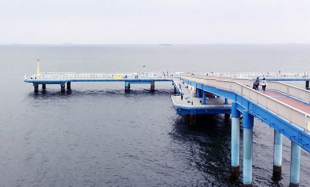 海釣り公園偏光サングラス